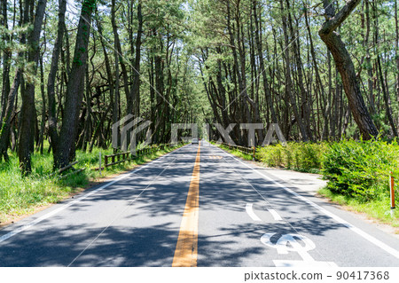 《佐賀縣》虹之松原 90417368