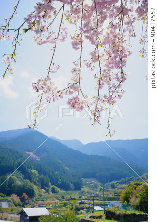 佐倉（德島縣神山町） 90417552