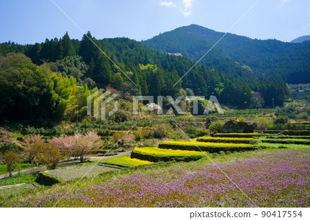 江田菜子田梯田(德島縣神山町) 江田菜子田梯田(德島縣神山町) 90417554