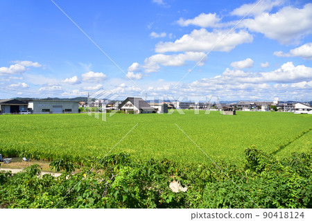 瀨戶大橋線從兒島站到岡山站的風景（2021年） 90418124