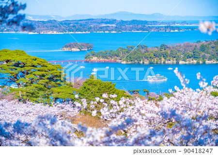 從日本三大名勝之一的松島公園看到的櫻花和松島灣（宮城縣松島町） 90418247