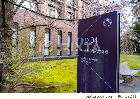 東北大學片平校區生命科學研究科(宮城縣仙台市) 東北大學片平校區生命科學研究科(宮城縣仙台市) 90418281
