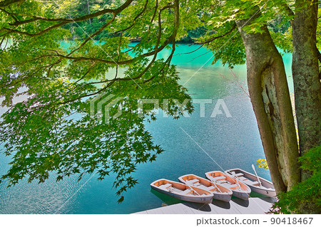 At Goshikinuma on the Urabandai Kogen (Fukushima Prefecture) 90418467