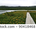 At Oguninuma on the Urabandai Kogen (Fukushima Prefecture) 90418468