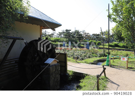 藍天花田中的水車 90419028