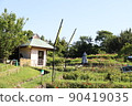 Watermill in a flower field in the blue sky 90419035