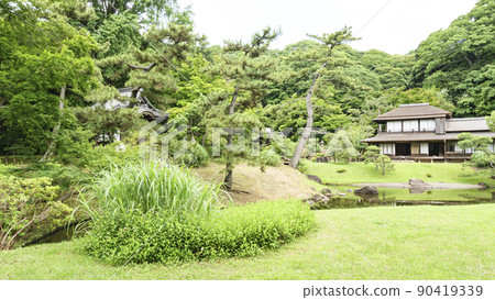 三溪園，位於神奈川縣橫濱市中區本牧的風景區，新鮮的綠色令人眼花繚亂 90419339