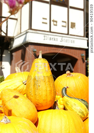Obake pumpkin and autumn Niseko station 90419589