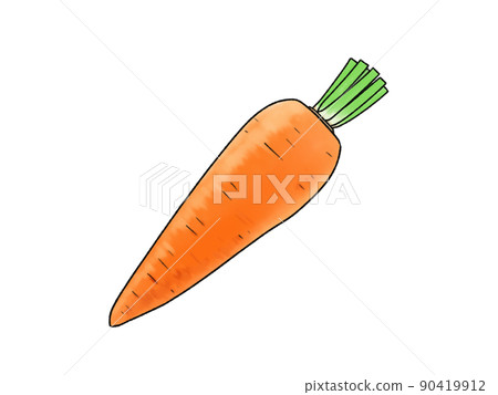 Carrot vegetables 90419912