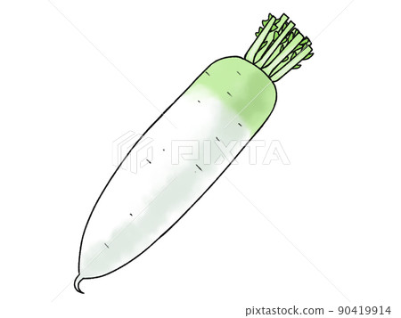 Radish vegetables 90419914