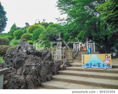 Tagoyama Fujizuka, Shiki City, Saitama Prefecture 90420304