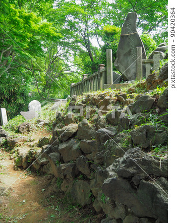 Tagoyama Fujizuka, Shiki City, Saitama Prefecture 90420364