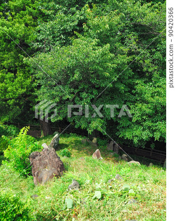 埼玉縣四季市田子山藤塚 90420366