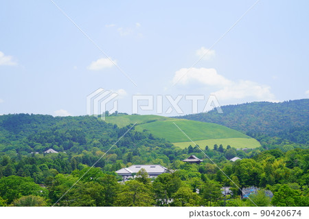 Nara Park, Todaiji Museum and the roof of Namdaemun in June with beautiful greenery 90420674