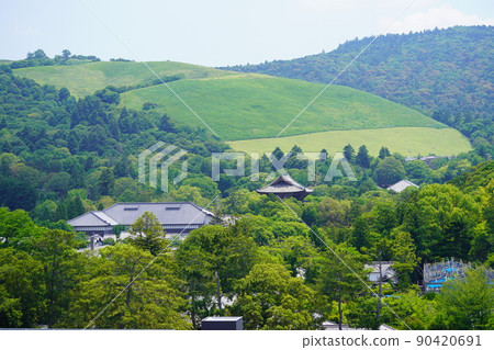 若草山 / 6 月的東大寺博物館和南大門屋頂 若草山 / 6 月的東大寺博物館和南大門屋頂 90420691