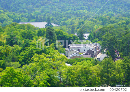 Beautiful forest Nara Park / International Forum 90420702