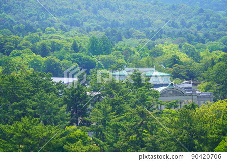 Nara National Museum nestled in a beautiful forest 90420706