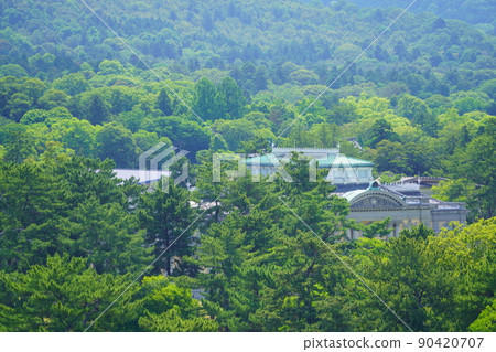 Nara National Museum nestled in a beautiful forest 90420707