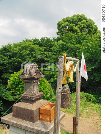 Tagoyama Fujizuka (Okumiya), Shiki City, Saitama Prefecture 90420716