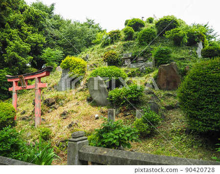 埼玉縣四季市田子山藤塚(松尾神社) 埼玉縣四季市田子山藤塚(松尾神社) 90420728