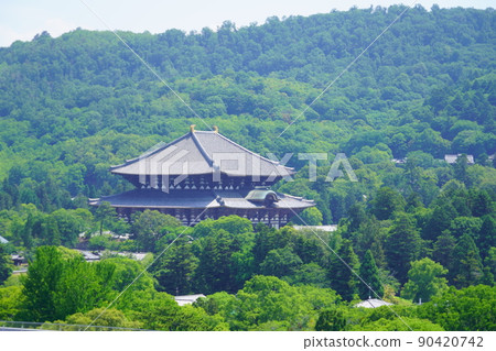 Todaiji Temple in a beautiful green forest Todaiji Temple in a beautiful green forest 90420742