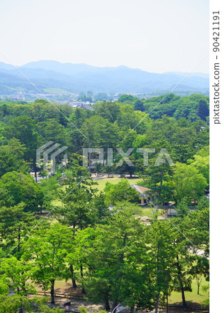 Overlooking the Nara Park / Nara Hotel area in June Overlooking the Nara Park / Nara Hotel area in June 90421191