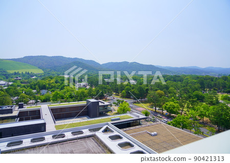 Nara Park with beautiful wide-angle and greenery 90421313