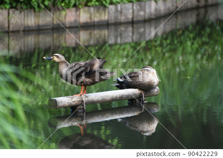 Time for relaxation Time for relaxation 90422229