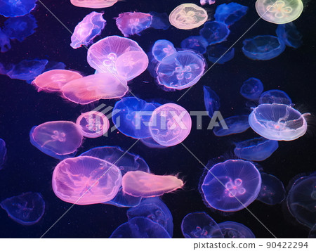 水母水族館與多彩的燈光 90422294