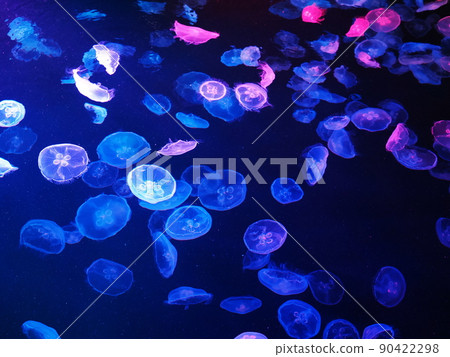 水母水族館與多彩的燈光 90422298