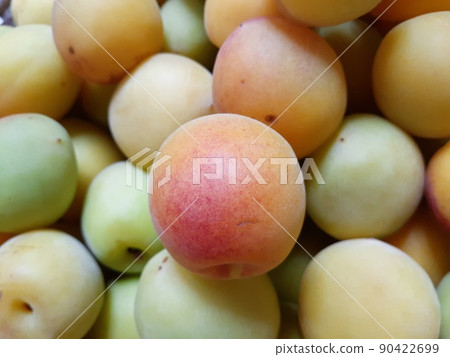 Minami Takane Minami Takane 90422699