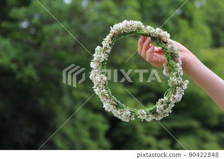 白三葉草的Wollow 90422848