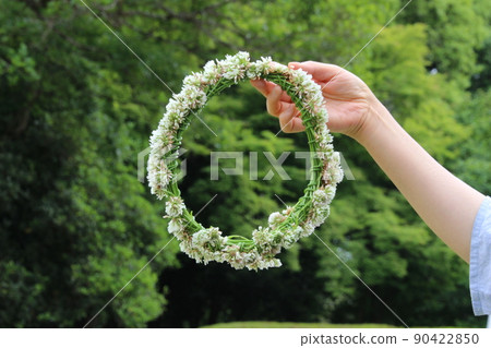 白三葉草的Wollow 90422850