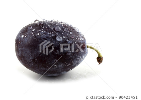 Black plum 90423451