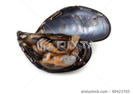 Opened mussels 90423785
