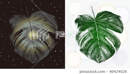 best soil mix for monstera Philodendron + Monstera Soil Mix main image 1