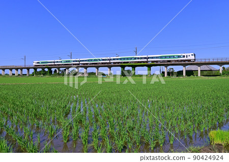E257 series 5500 series running on growing rice and JR Kashima line E257 series 5500 series running on growing rice and JR Kashima line 90424924