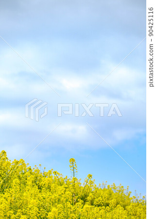 北野宇宙公園 北野宇宙公園 90425116