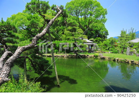 [愛媛縣]晴天的天社園粉絲（書店） 90425250