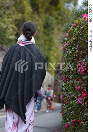 路邊冷茶花和和服女人 90425269