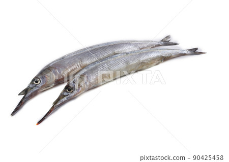 Garfish isolated on white 90425458