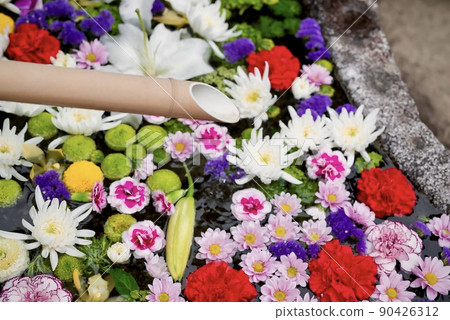 多彩多姿的鮮花 多彩多姿的鮮花 90426312
