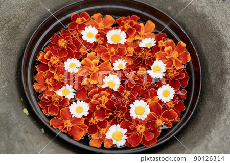 Marigold Marigold 90426314