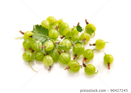 Gooseberry 90427245