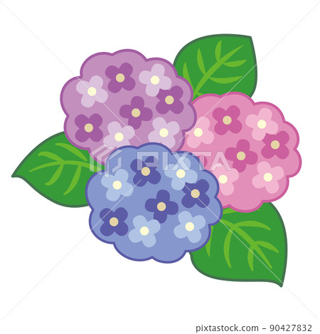 繡球花的插圖 90427832
