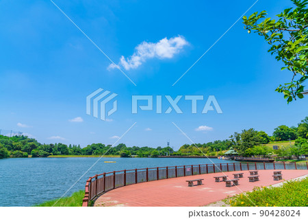 Kuragaike Park, a landscape full of greenery <Toyota City, Aichi Prefecture> 90428024