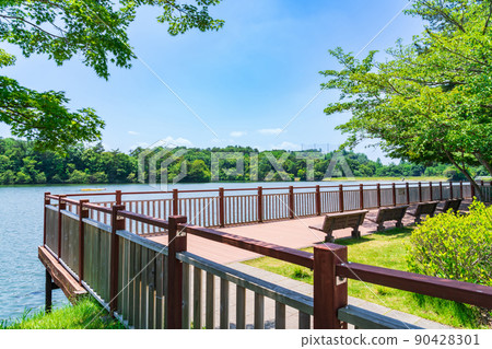 Kuragaike Park, a landscape full of greenery <Toyota City, Aichi Prefecture> Kuragaike Park, a landscape full of greenery <Toyota City, Aichi Prefecture> 90428301