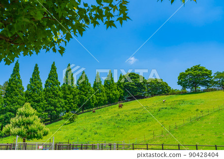 Kuragaike Park, a landscape full of greenery <Toyota City, Aichi Prefecture> Kuragaike Park, a landscape full of greenery <Toyota City, Aichi Prefecture> 90428404
