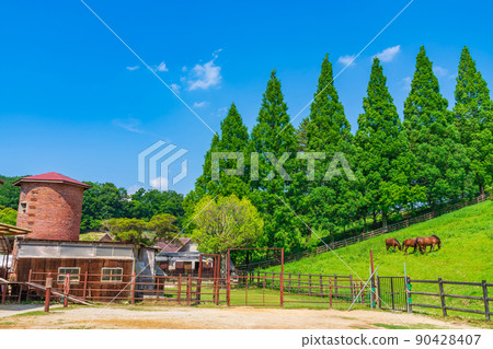 Kuragaike Park, a landscape full of greenery <Toyota City, Aichi Prefecture> 90428407