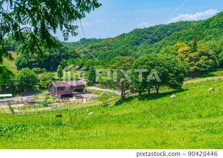 Kuragaike Park, a landscape full of greenery <Toyota City, Aichi Prefecture> Kuragaike Park, a landscape full of greenery <Toyota City, Aichi Prefecture> 90428446